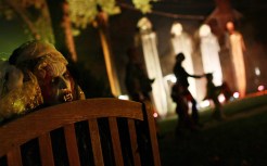 Top Local Trick-or-Treat Neighborhoods