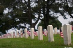 Images: Morning Salute