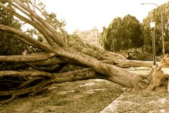 Why Destructive Winds Missed SD