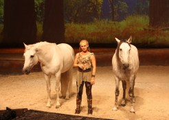 Cavalia Extends Stay in San Diego