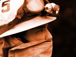 Firefighters Contain Doghouse Fire