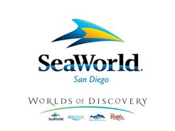 A Look Into Sea World's Conservation Efforts