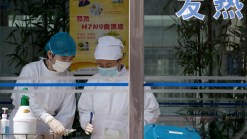 New Bird Flu Strain “One of Most Lethal” Flu Viruses