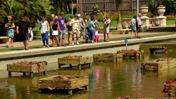 Water Fight Damages Historic Pond