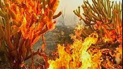 Banner Fire Thursday 11pm