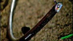 Copper Theft Causes Broadband Outage