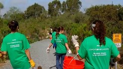 Weekend Events: Comcast Cares Cleanup, MS Walk