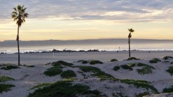 Best Beach? Coronado Is King