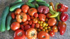 Grocery Prices Send Shoppers to Garden