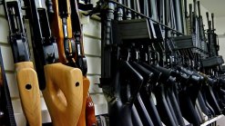 Senate Bill to Help Erase Prohibited Gun Owner Backlog