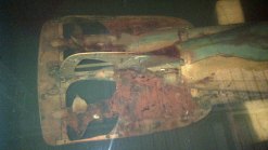 Navy Dolphins Find Rare Torpedo Off Coronado