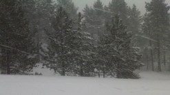 Snow Brings White Winter to San Diego