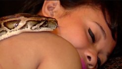 New Craze: Snakes in the Spa