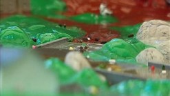 Green Week: Recycling