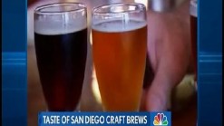Taste of Craft Beers