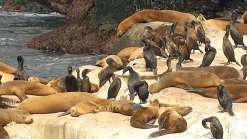 Smelly Seaside Community Undergoes Cleanup