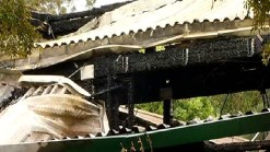 Fire Near Zoo's Panda Exhibit Labeled Arson