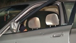 Driver Survives Shooting in Oak Park