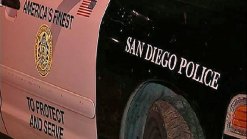 Alleged Carjacking in Oak Park
