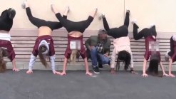 ACLU Intervenes in Twerking Case