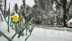 March Storm Brings Hail, Snow