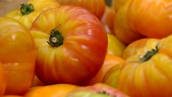 Farmers’ Market Headed to El Cajon