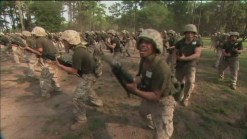 Women to Have Roles in Direct Combat
