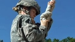 Pentagon to Release Rules on Women in Combat