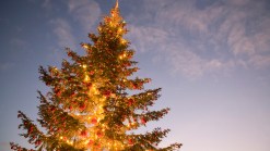 Two Tree Lighting Ceremonies in One Day