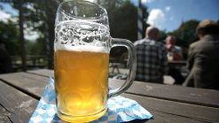 What To Do This Weekend