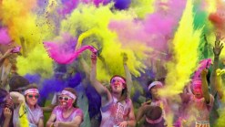 What To Do This Weekend