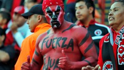 Tijuana Xolos, Club America Rematch Planned