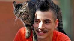 Have Cat, Will Bike