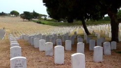 Visitors Upset About Grass at Fort Rosecrans
