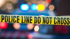 Woman Flips Stolen Car, Hits Pedestrian