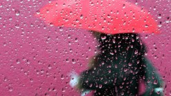A Wet and Windy Wednesday