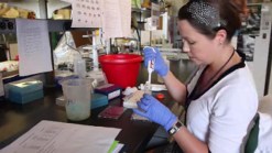 Salk Drug May Reverse Alzheimer’s Damage