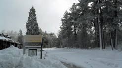 Snow Mixed in With April Showers