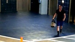 Dine-and-Dash Suspect Sought