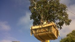 Only in SD: Crane Delivers Backyard Tree