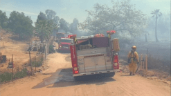 Residents Alarmed by Valley Center Brush Fire