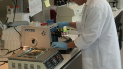 Local Company Creates, Researches Human Liver