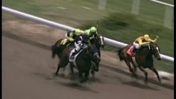 Dates Added to Del Mar Racetrack