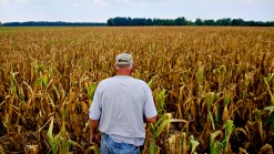 Drought: Worse than the Dust Bowl