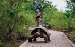 Google Takes You to the Galapagos Islands