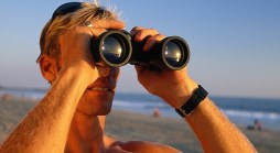 Fact Check: Lifeguard Training