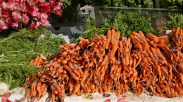Mayor Puts San Francisco on Organic Diet