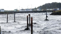 March 2011: Tsunami Hits California Coast