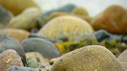 Rocks Cause Woman's Shorts to Catch Fire