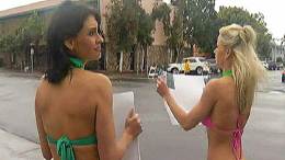 Bikini-Wearing Pet Owner Retrieves Dog in TJ